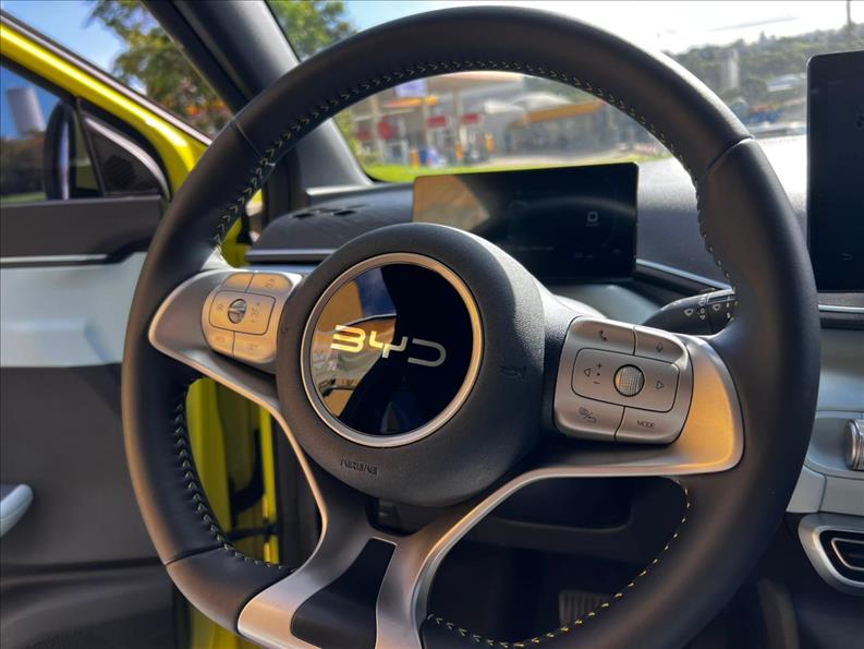 BYD  DOLPHIN MINI   38 KW 