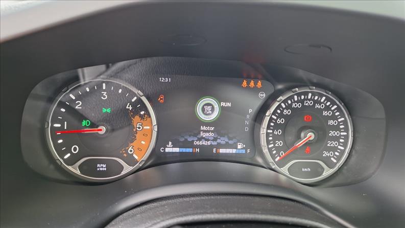  RENEGADE  2.0 16V Turbo Trailhawk 4X4 7