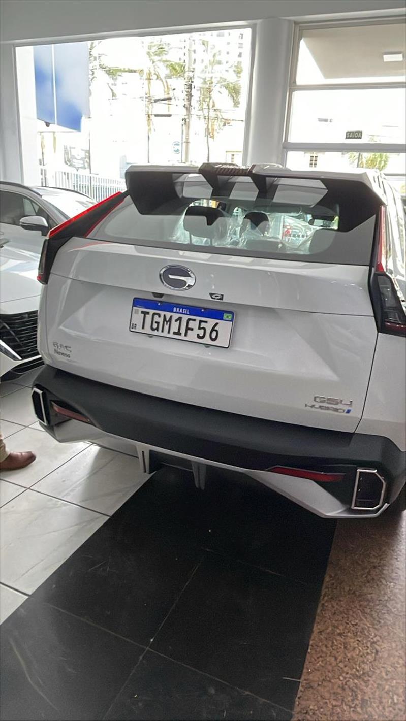  GS4  2.0 HEV Premium 13