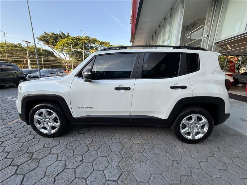  RENEGADE  1.3 T270 Turbo 6