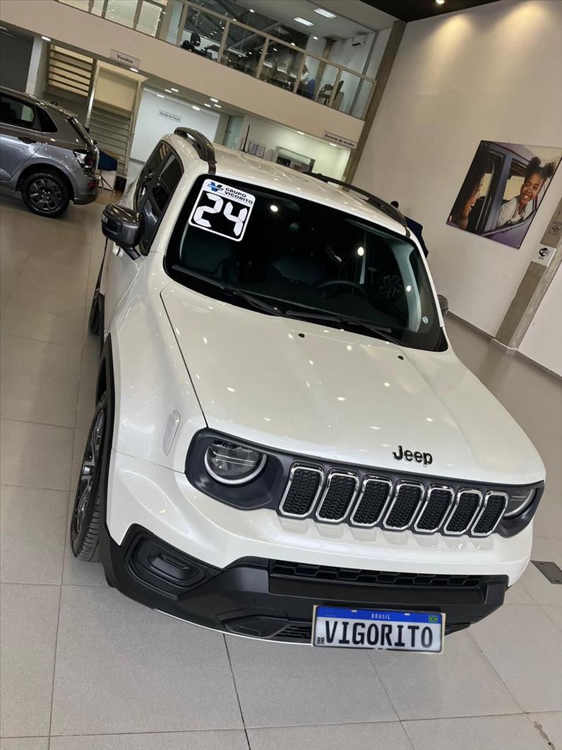  RENEGADE 