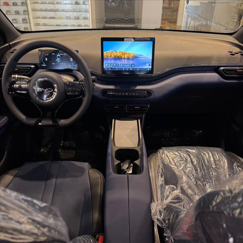 BYD  DOLPHIN MINI   38 KW GL  - 6832426