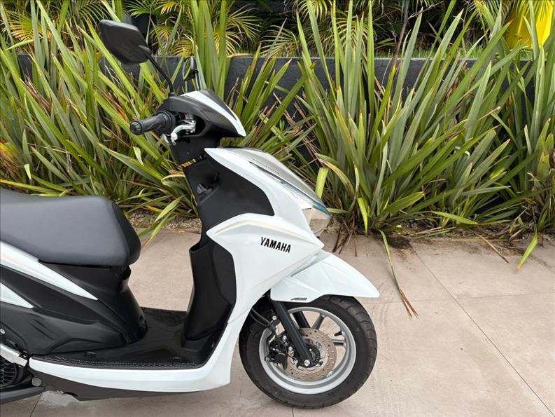 YAMAHA-FLUO 125 ABS-
