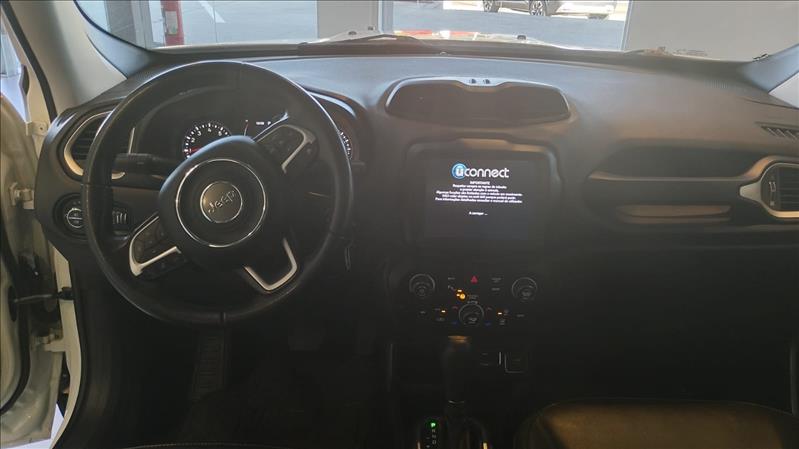  RENEGADE 