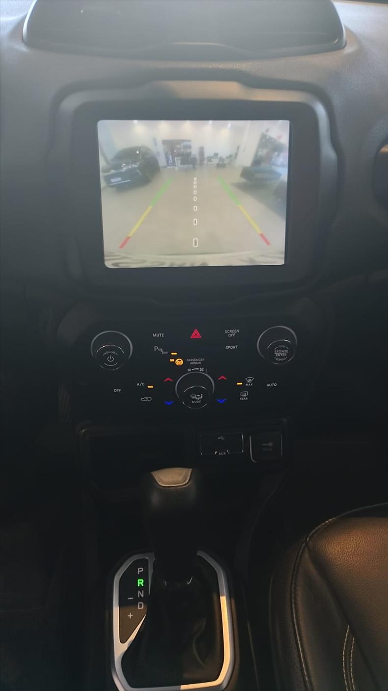  RENEGADE 