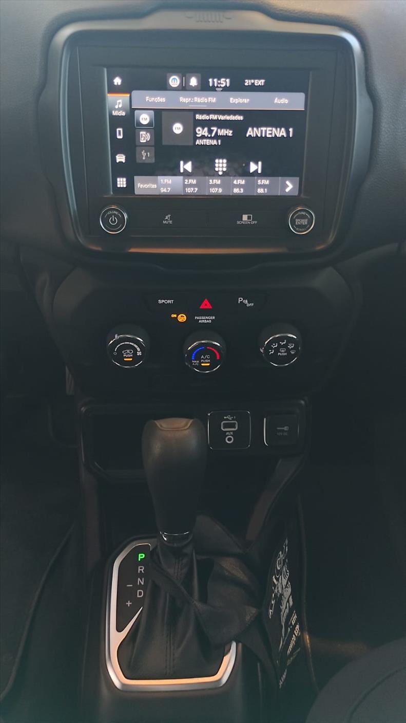  RENEGADE 