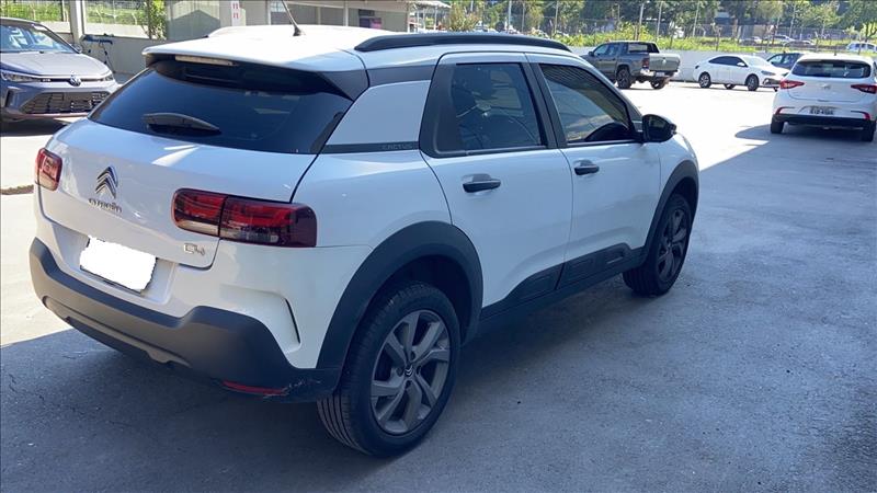  C4 CACTUS 