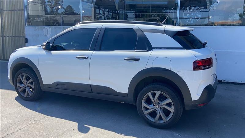  C4 CACTUS 