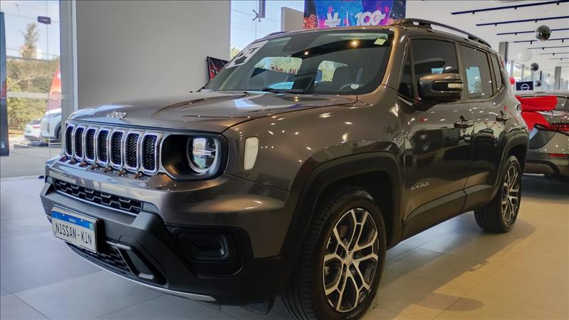  RENEGADE 