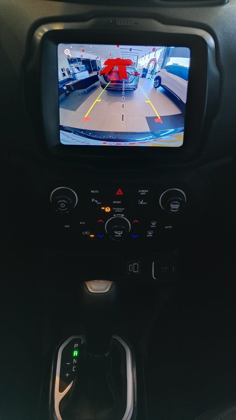 RENEGADE 