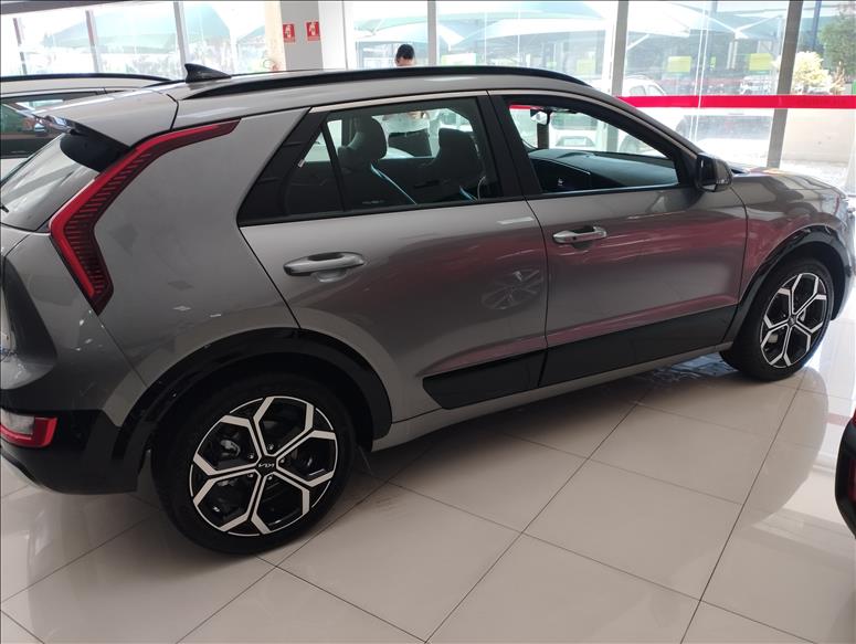  NIRO 