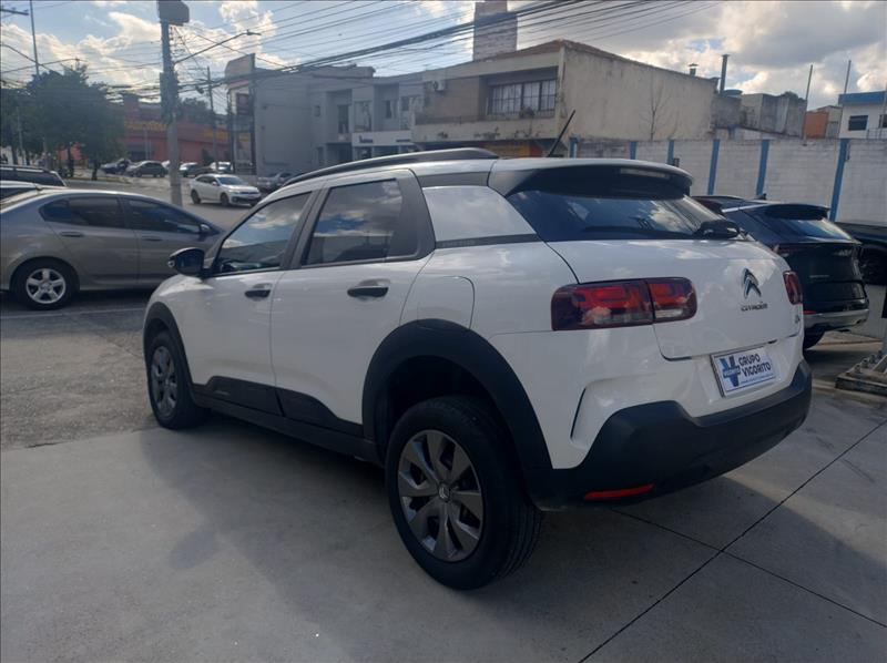  C4 CACTUS 