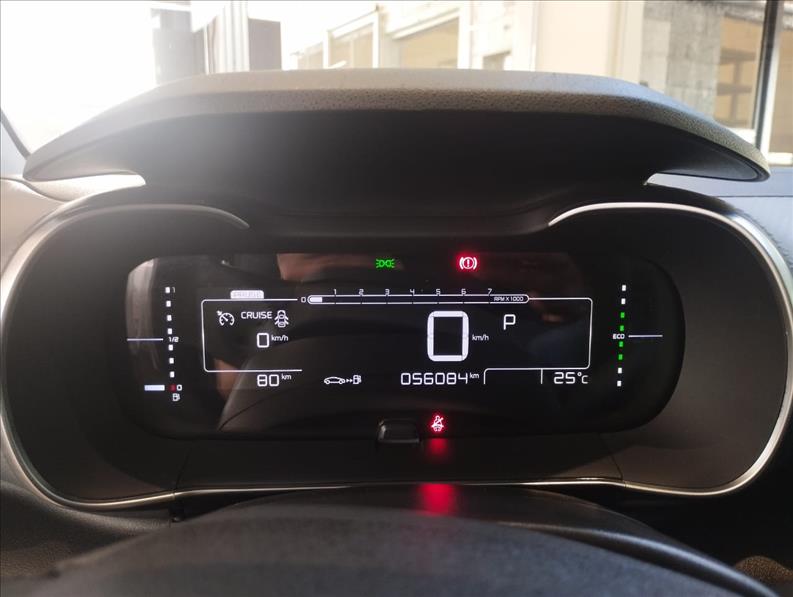  C4 CACTUS 