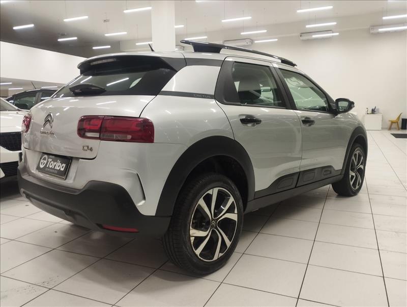  C4 CACTUS 
