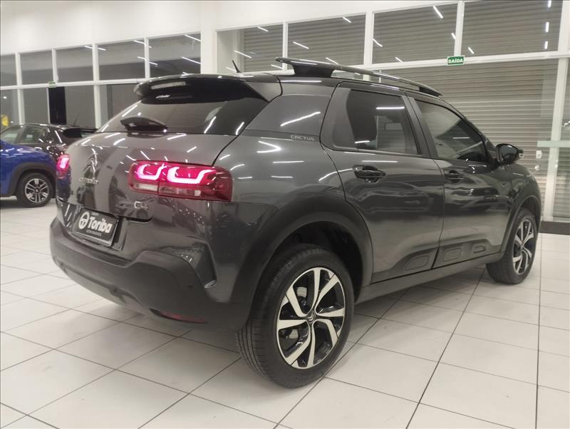  C4 CACTUS 