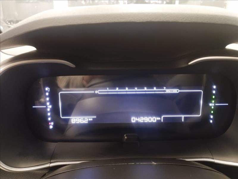  C4 CACTUS 