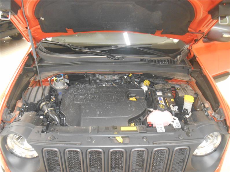 Jeep RENEGADE 2.0 16V Turbo Trailhawk 4X4
