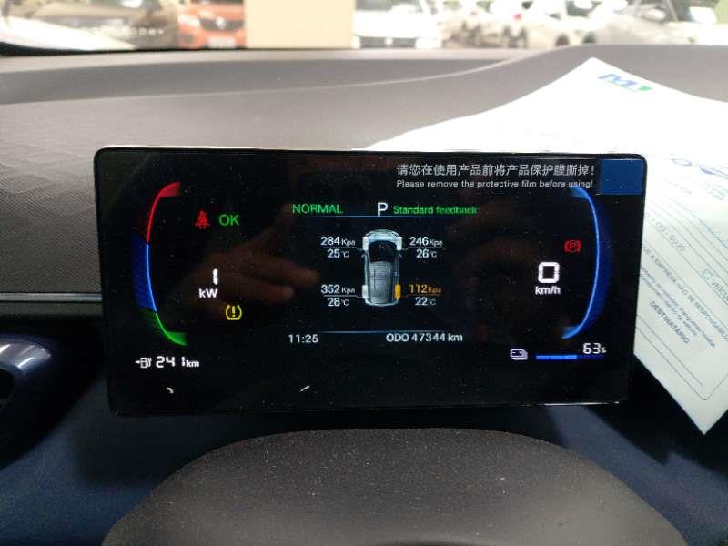 BYD-DOLPHIN MINI-38 KW 5L