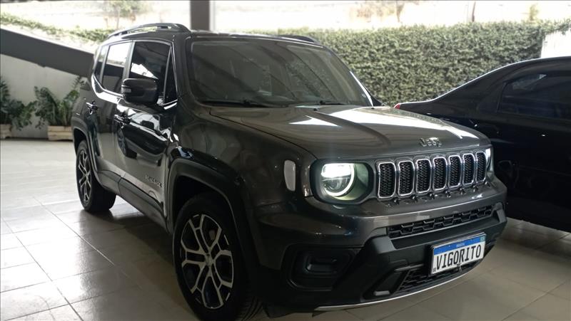  RENEGADE 