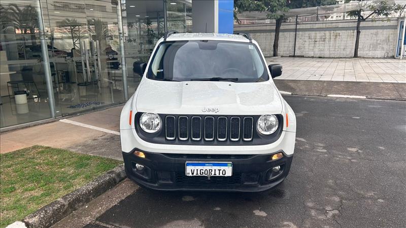  RENEGADE 