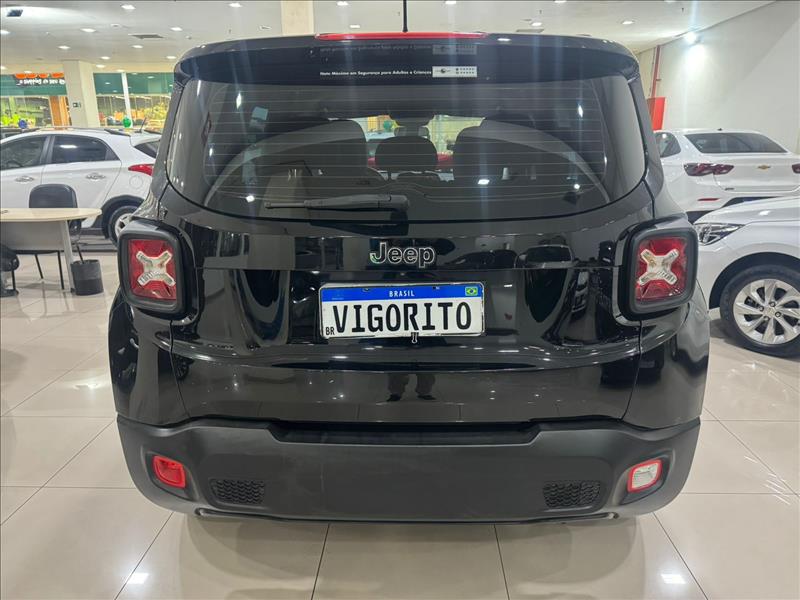  RENEGADE 