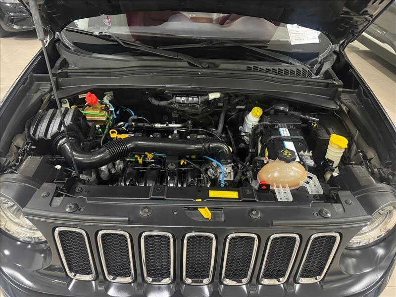  RENEGADE 