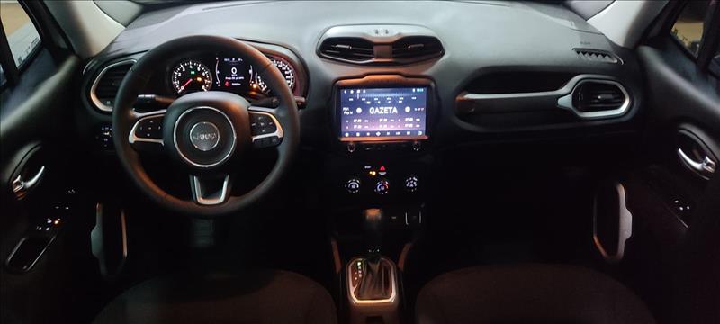  RENEGADE 