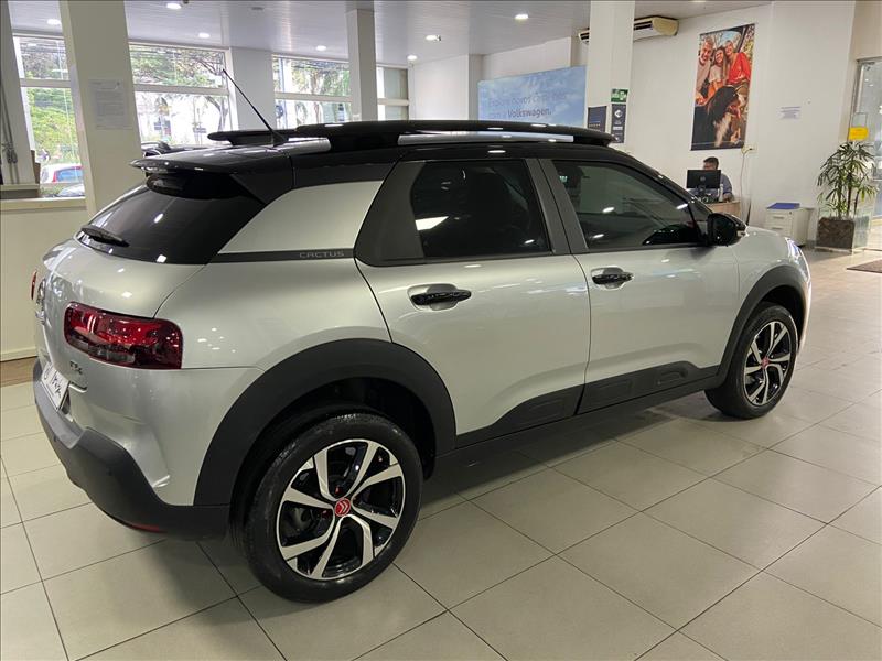  C4 CACTUS 